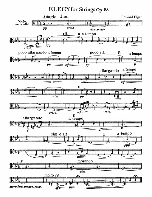 Violas