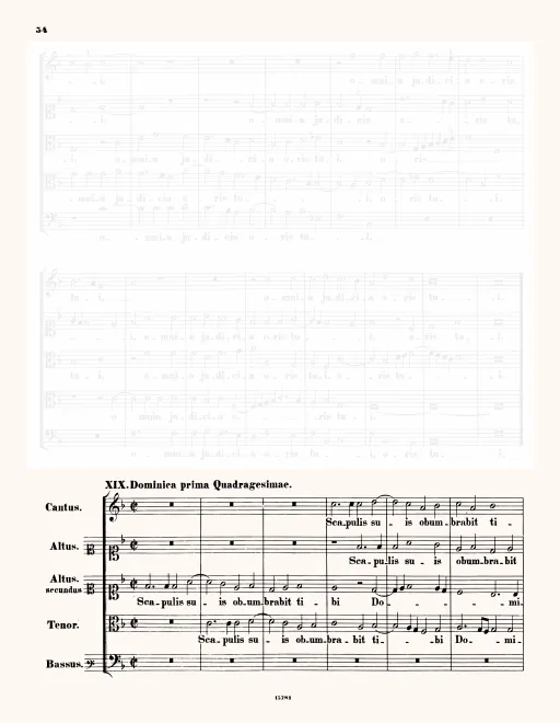 First page of Scapulis suis