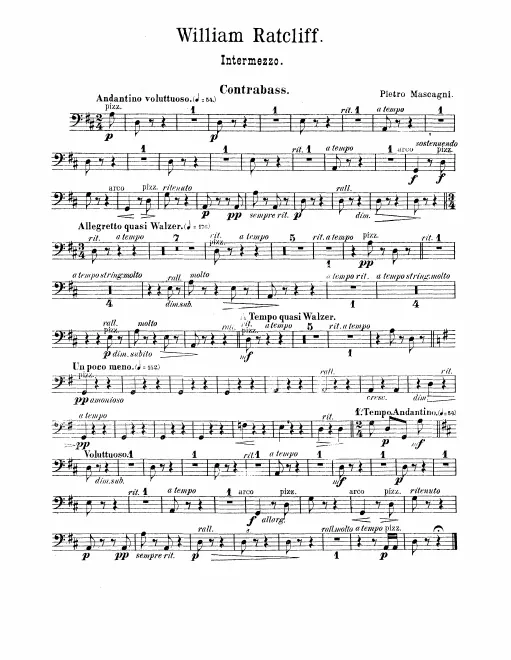 Basses