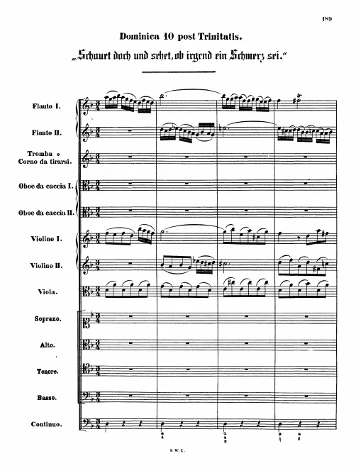First page of Schauet doch und sehet