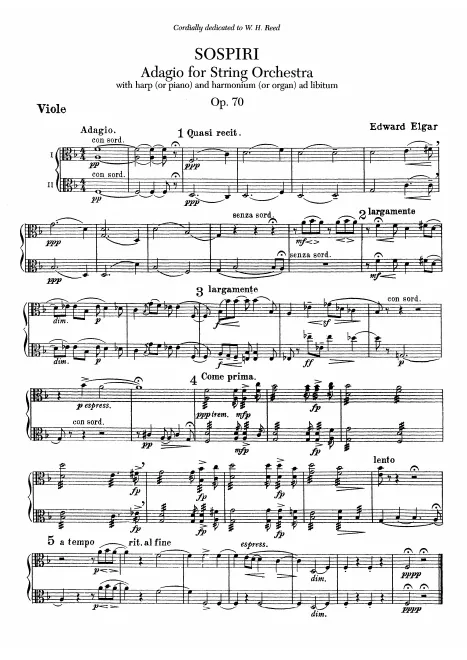 Violas