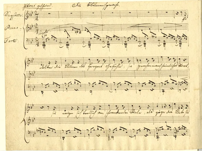 First page of Die Blumensprache