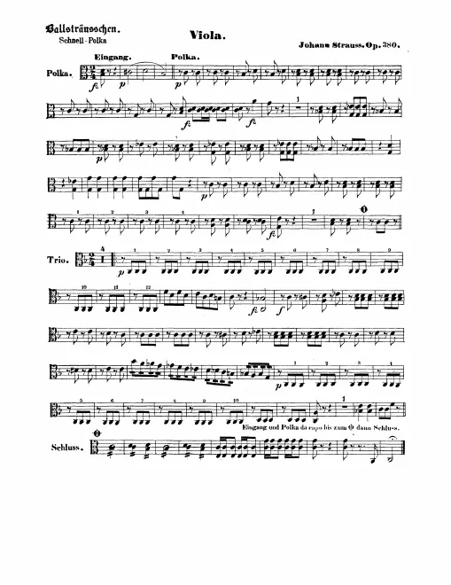 Violas