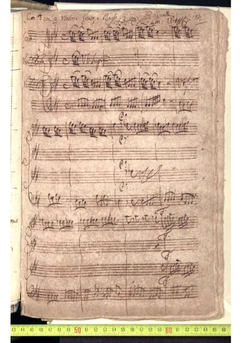 First page of Chamber Concerto in D major