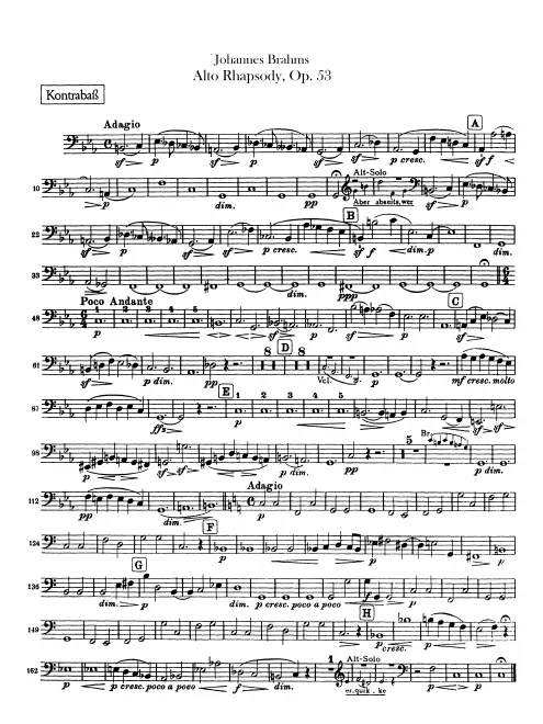 Basses