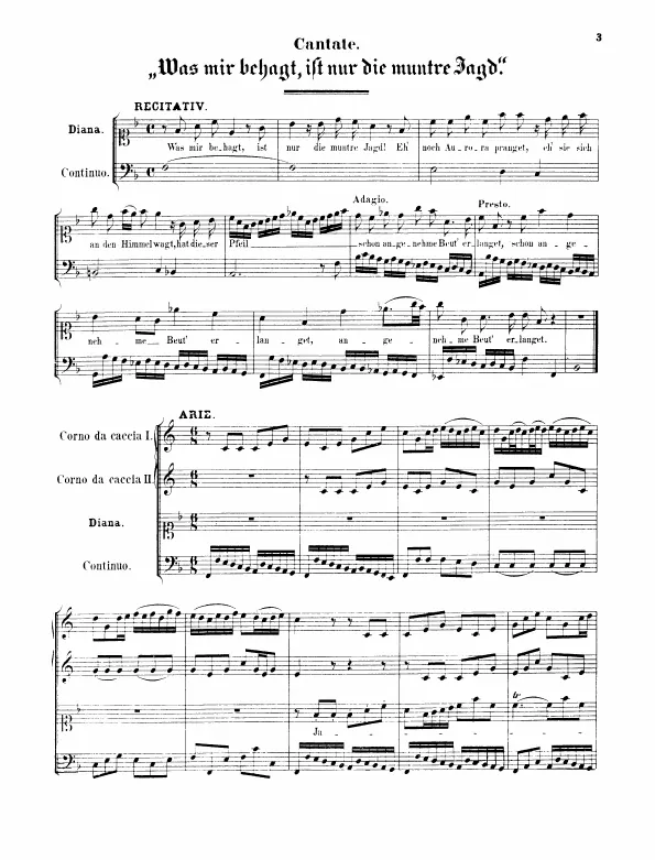 First page of Schafe können sicher weiden