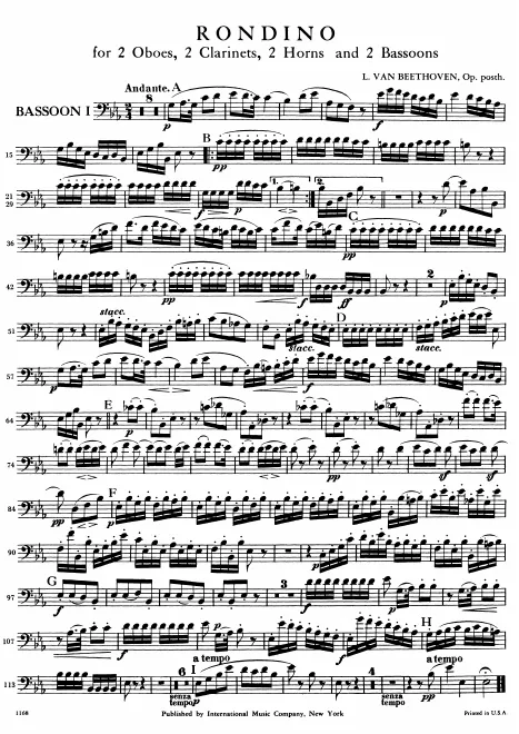 Bassoon 1