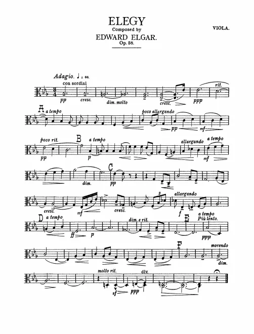 Violas