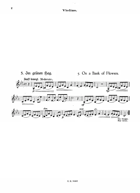Violin
