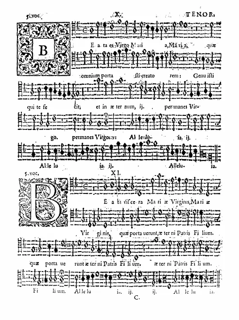 Tenor