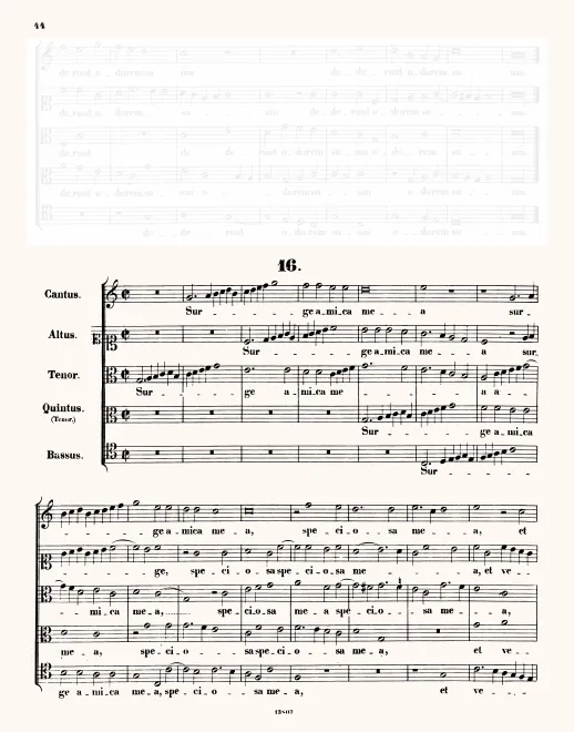 First page of Surge amica mea