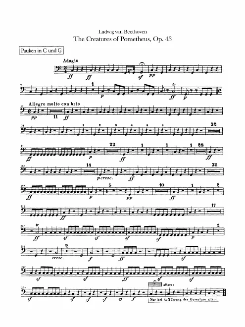 Timpani