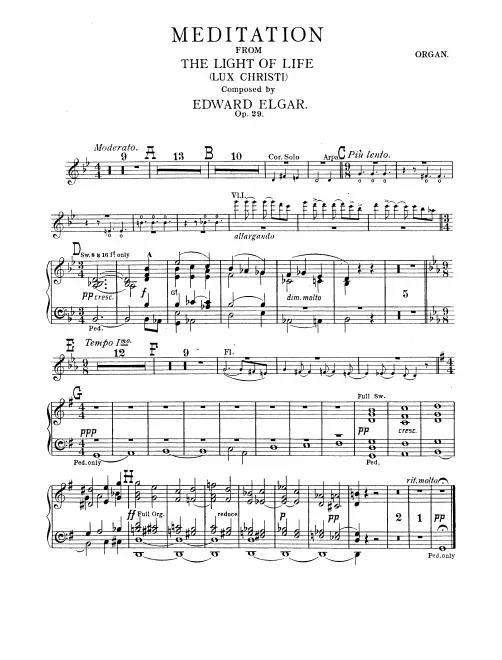 Organ