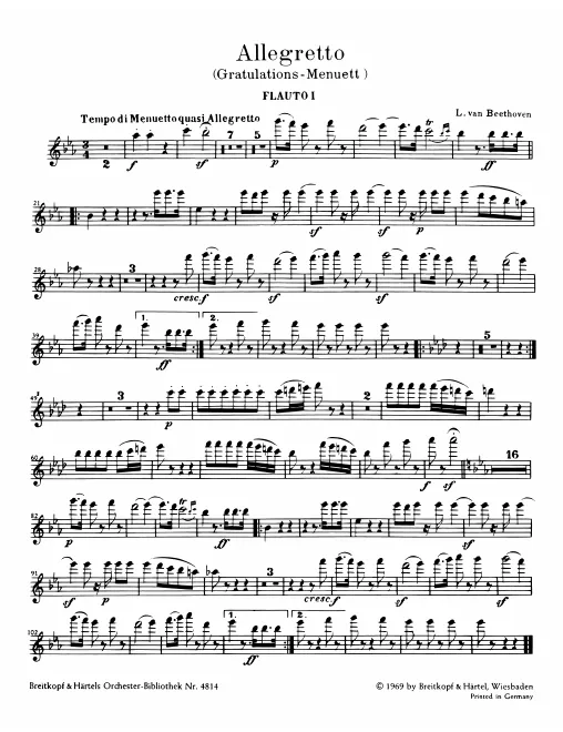 Flute 1