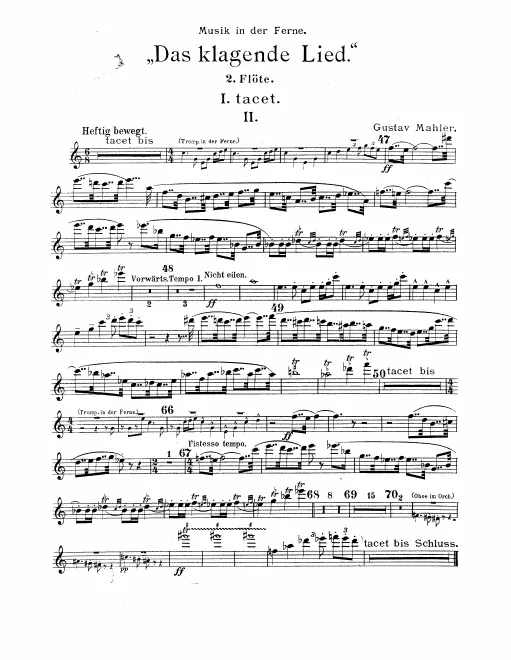 Flute 2