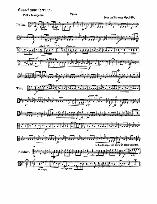 Violas
