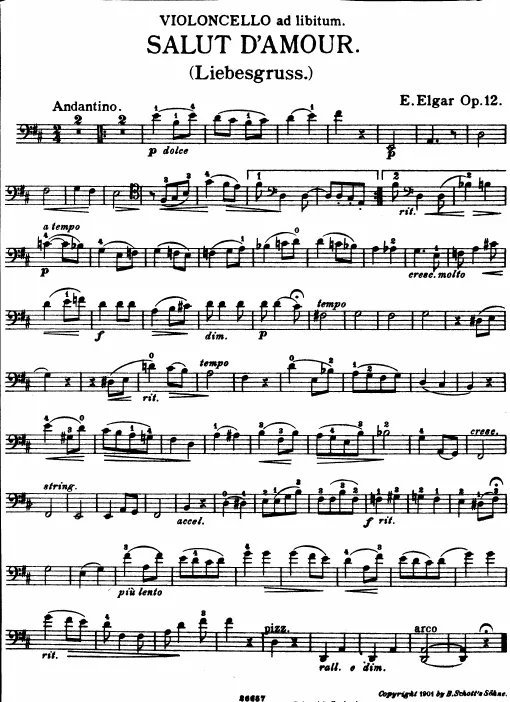 Cello Part (ad lib.)