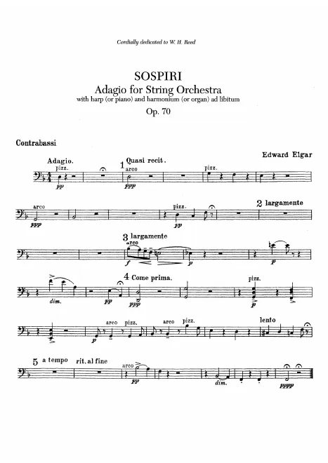 Basses
