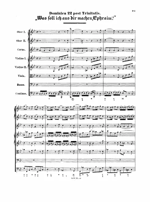 First page of Was soll ich aus dir machen, Ephraim