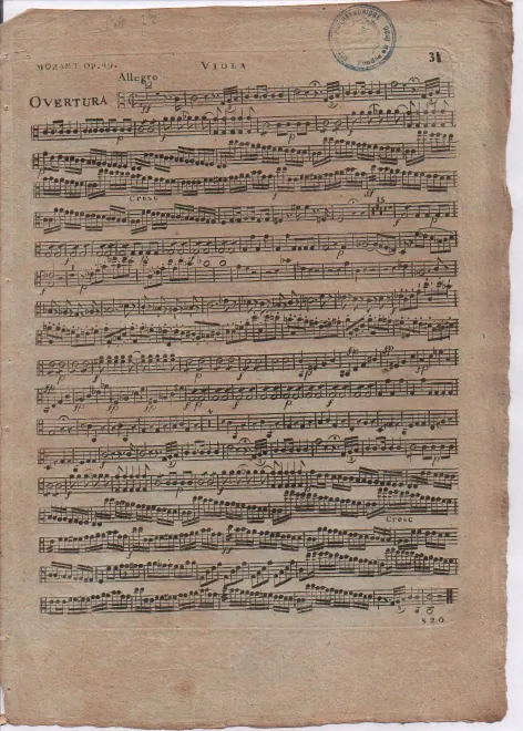 Violas