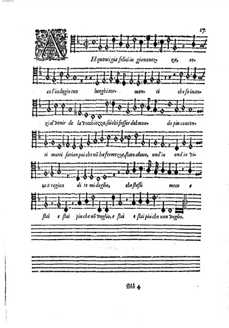 Tenor 2