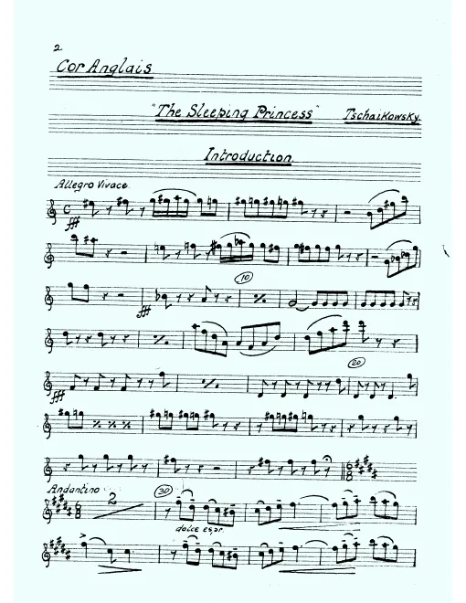 First page of The Sleeping Beauty
