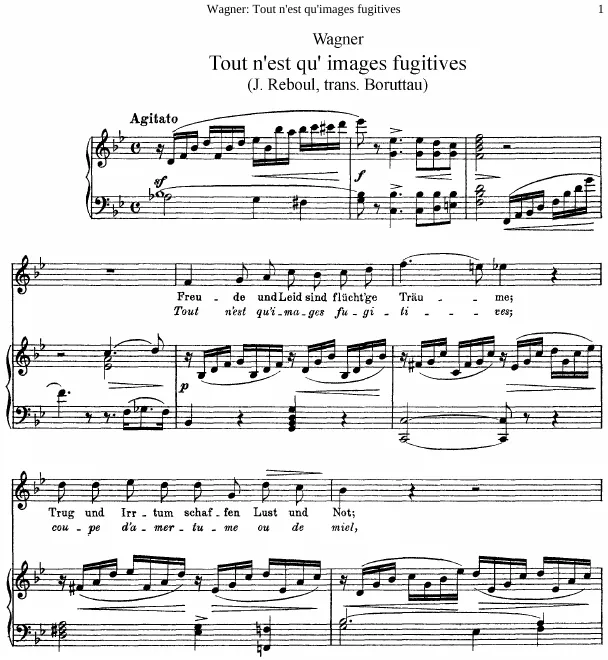 First page of Tout n'est qu'images fugitives