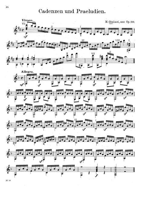 No.20-21