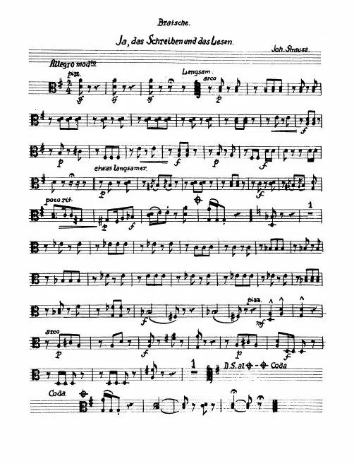 Viola