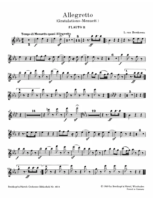 Flute 2