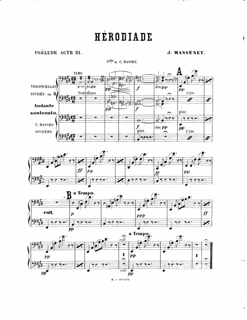 Cello/Double Bass