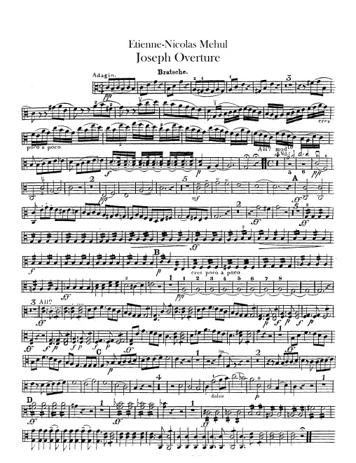Violas