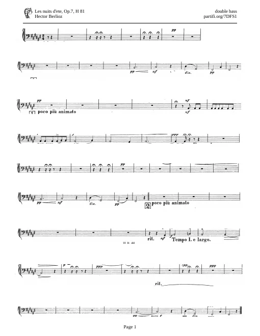 Double Basses