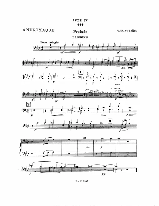 Bassoon 1/2