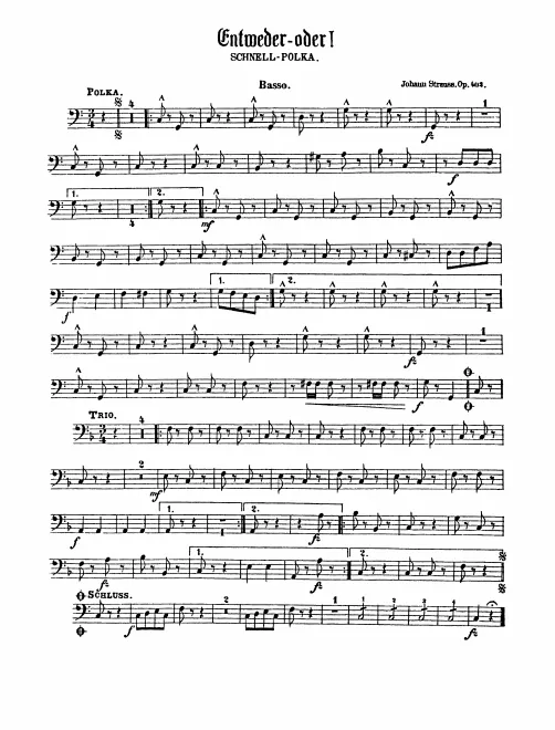 Basses