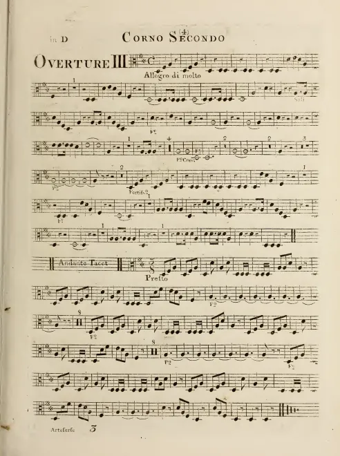 Horn 2 (D)