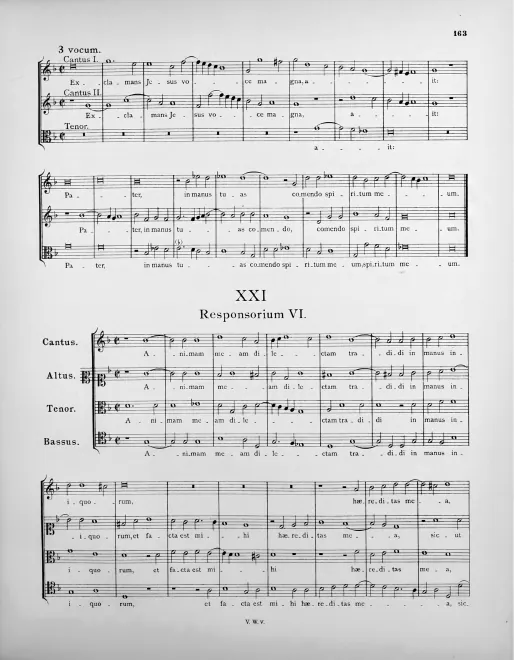 First page of Animam meam dilectam