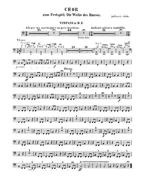 Timpani