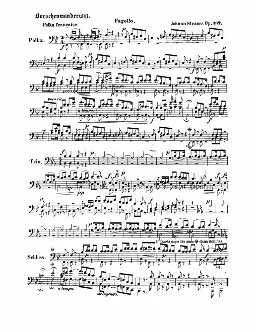 Bassoon 1/2