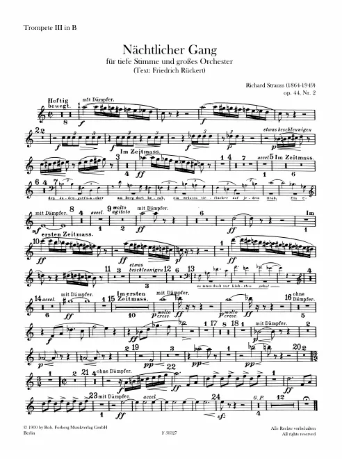 Trumpet 3 (B)