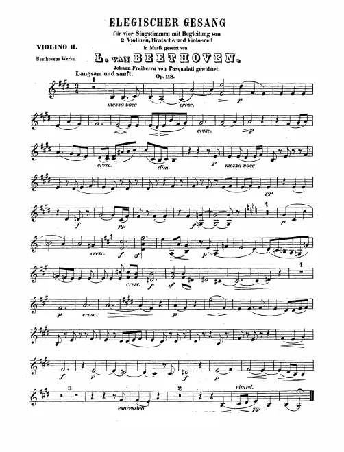 Violin II