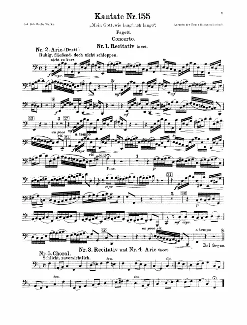 Bassoon
