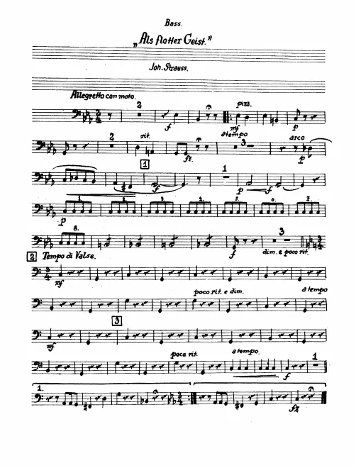Basses