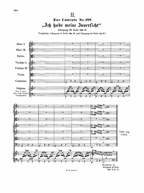 Alternative Version