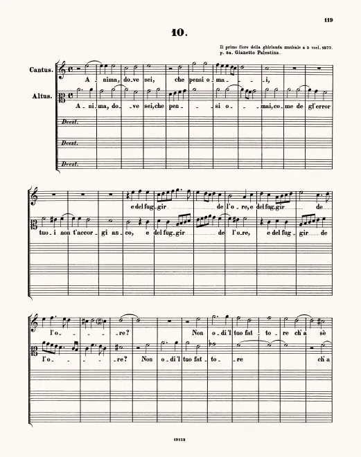 First page of Anima, dove sei