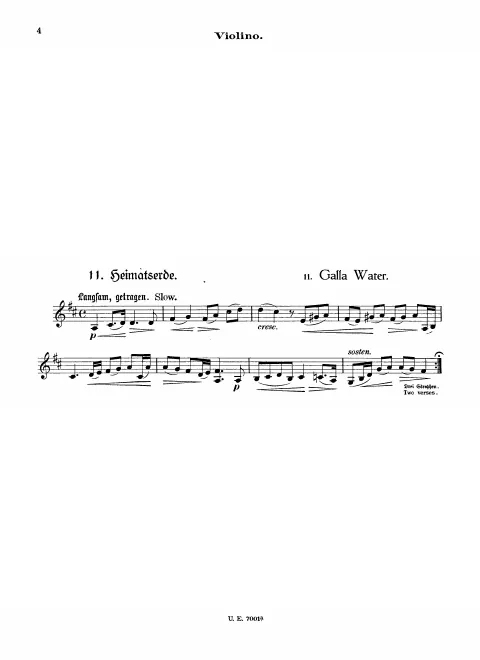 Violin