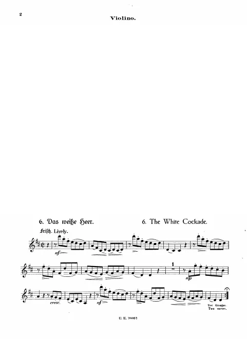 Violin