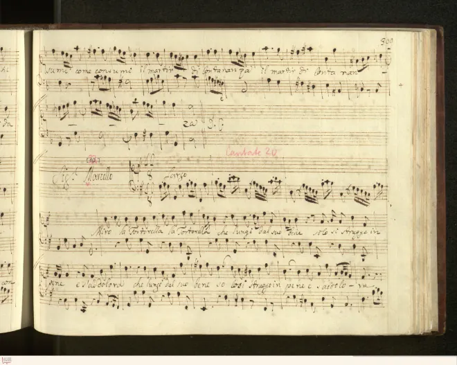 First page of Miro la tortorella