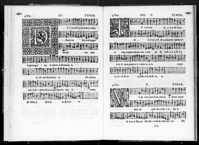 Tenor