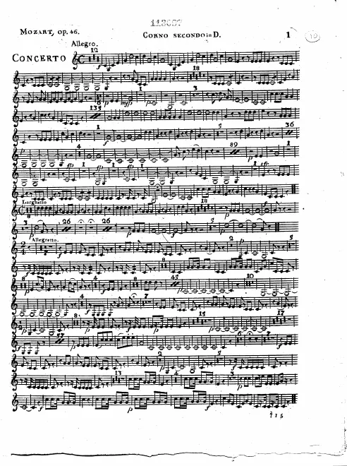 Horn 2 (D)